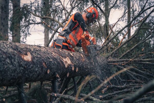 Husqvarna 592 XP (60 cm) - Afbeelding 7