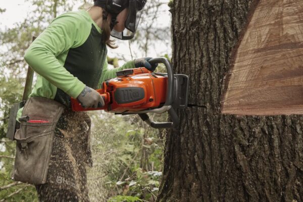 Husqvarna 592 XP (60 cm) - Afbeelding 8